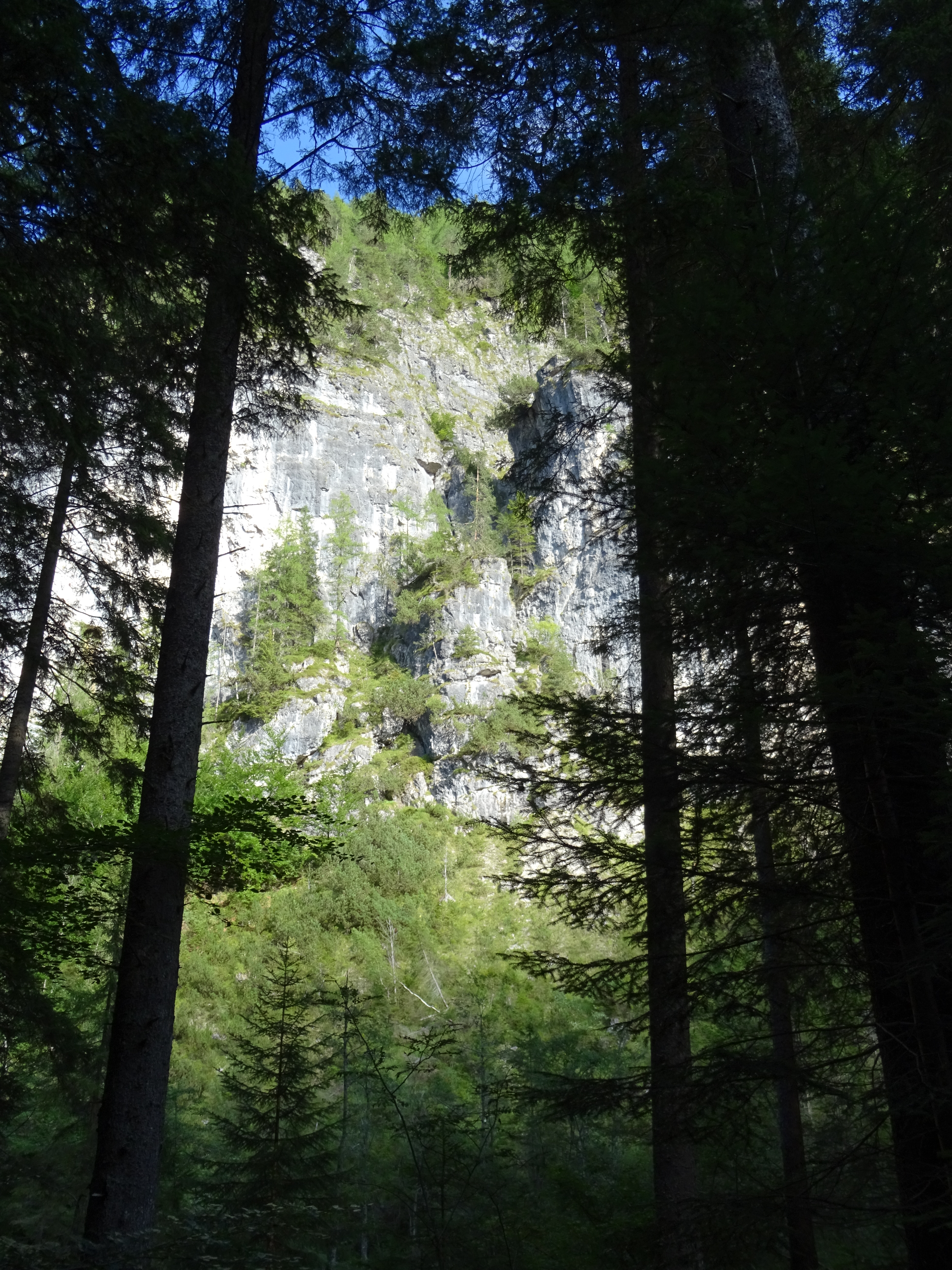 14A2688A-39B4-4ACD-872A-8AC1EE170A48